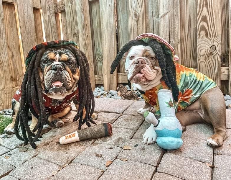 Paw-some Puff Puff Playthings - Hilarious Squeaky Toys for Dogs of All Sizes - The Perfect Gift for Your Pup's Barkday Bash!