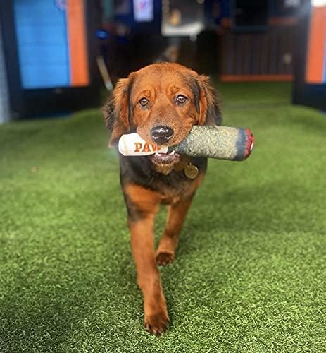 Paw-some Puff Puff Playthings - Hilarious Squeaky Toys for Dogs of All Sizes - The Perfect Gift for Your Pup's Barkday Bash!